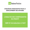 L’ANALYSE DES COMPOSANTES DU PROFIT NBP-01: Introduction